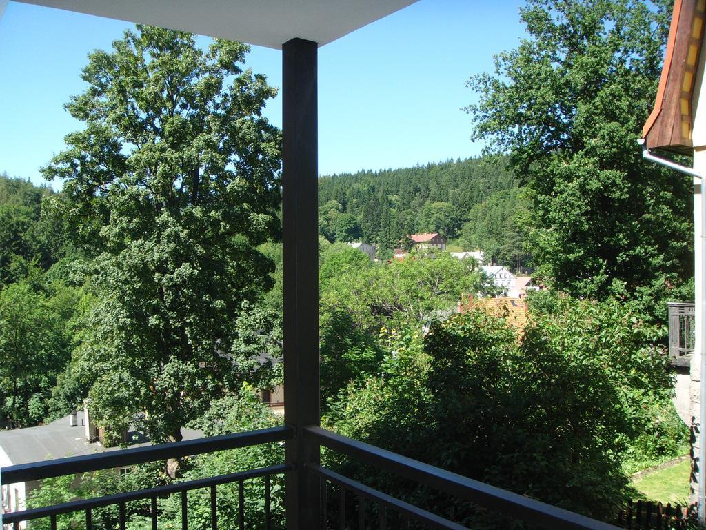 Apartament Grzes Szklarska Poręba Habitación foto